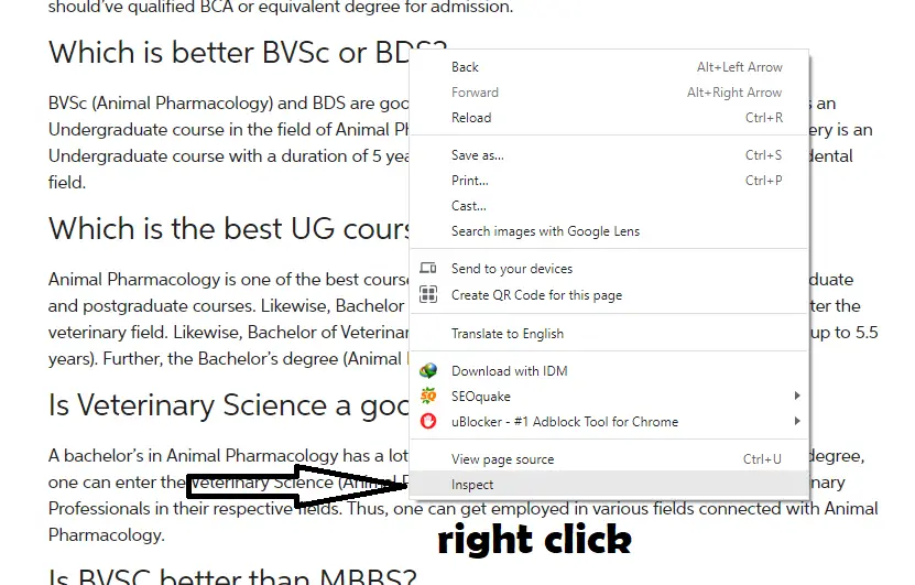 How To View Blurred Text on Websites? Top 3 Best Ways